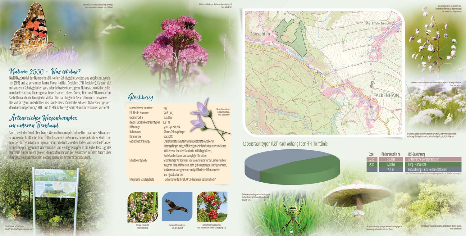 tl_files/downloads/Bilder Projekte/Projektstellen/Natura 2000 2.0/Flyer/Gebietsflyer_Bergwiesen_Doenschten_2.jpg